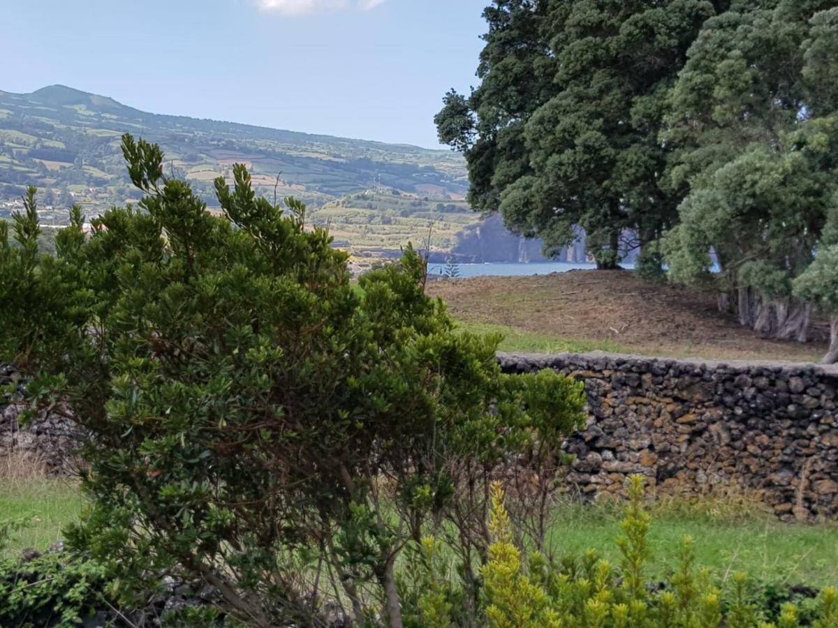 Quinta Da Falesia - Casa Amarela 蓬塔德尔加达 外观 照片