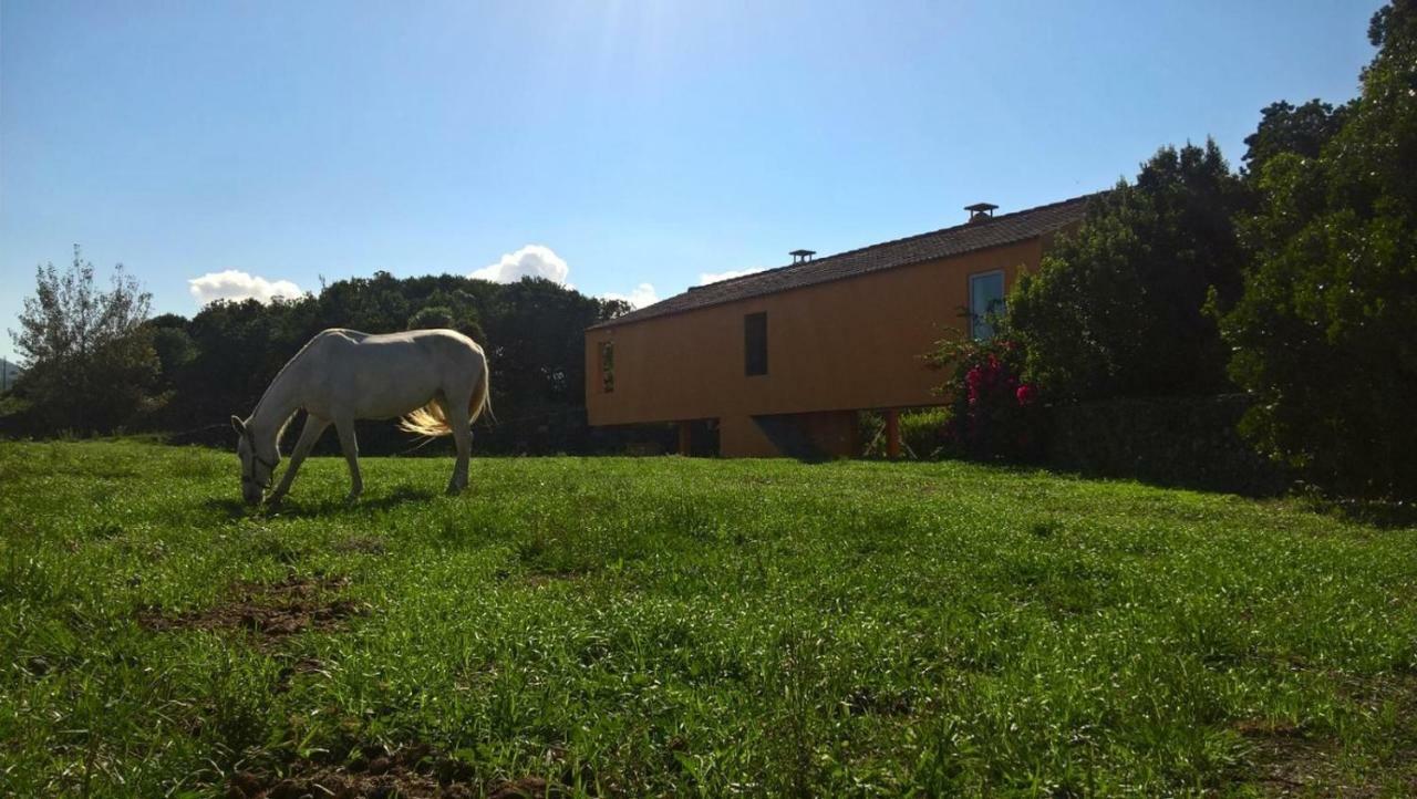 Quinta Da Falesia - Casa Amarela 蓬塔德尔加达 外观 照片