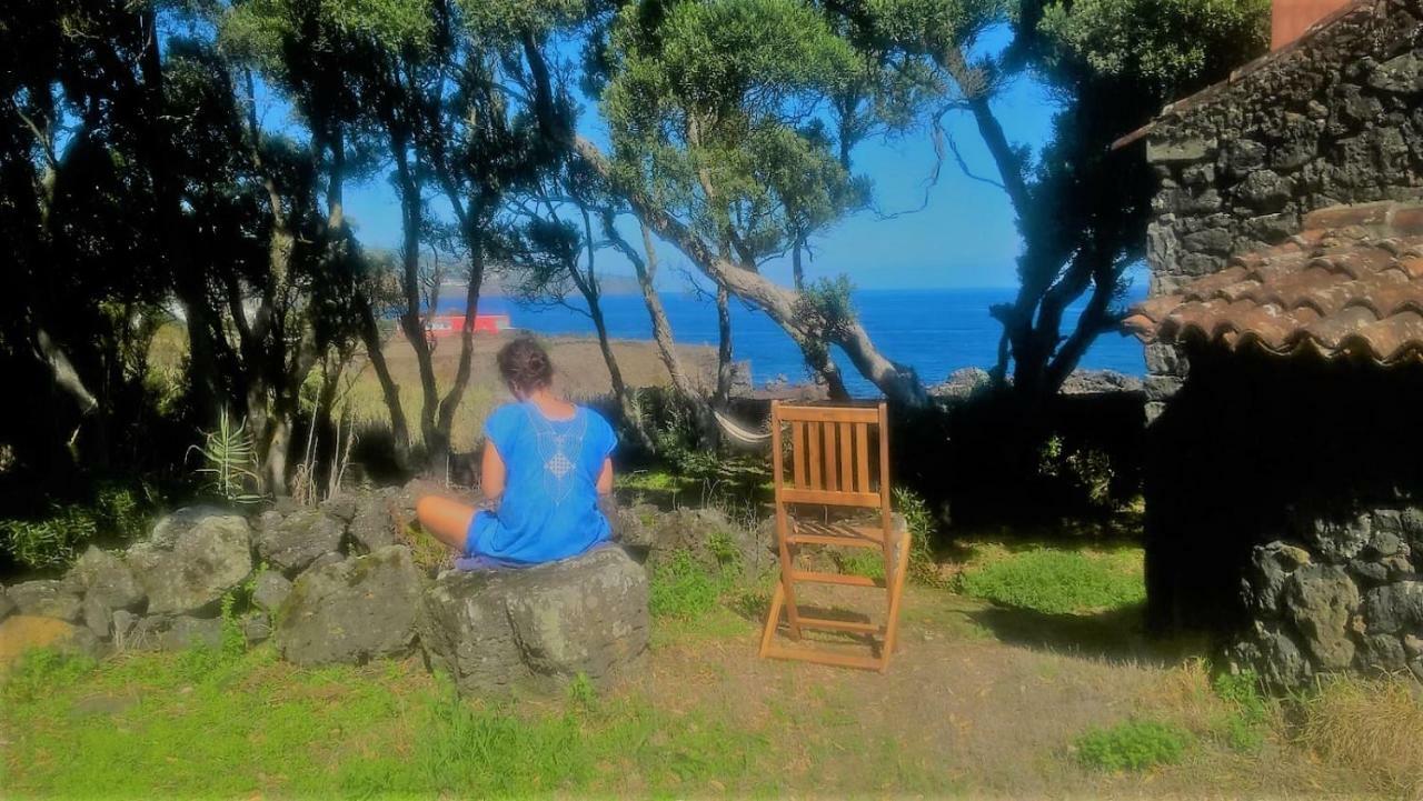 Quinta Da Falesia - Casa Amarela 蓬塔德尔加达 外观 照片